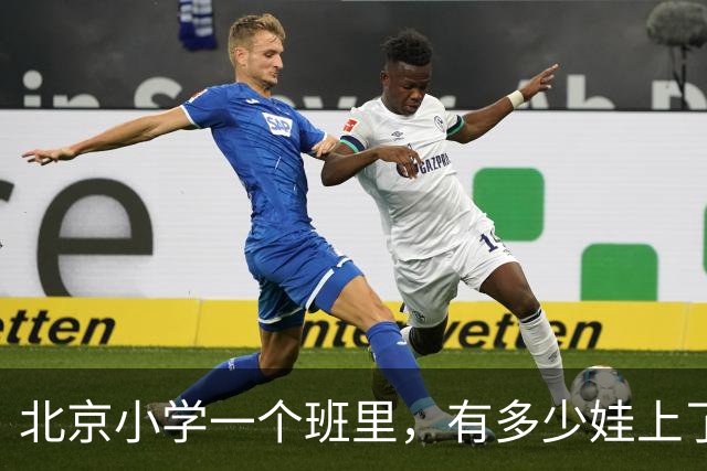 北京小学一个班里，有多少娃上了课外班？