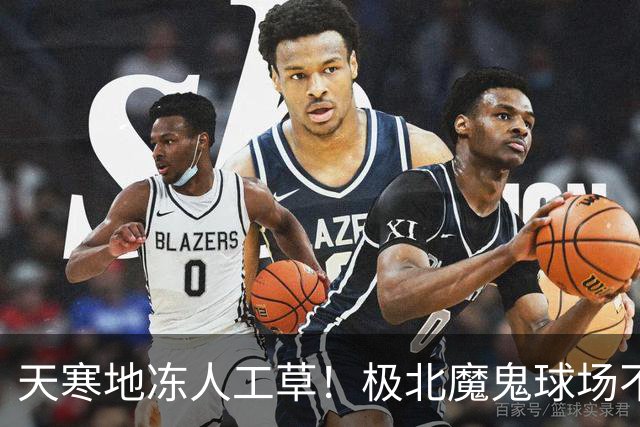 天寒地冻人工草！极北魔鬼球场不容小觑 德甲双雄先后吃瘪