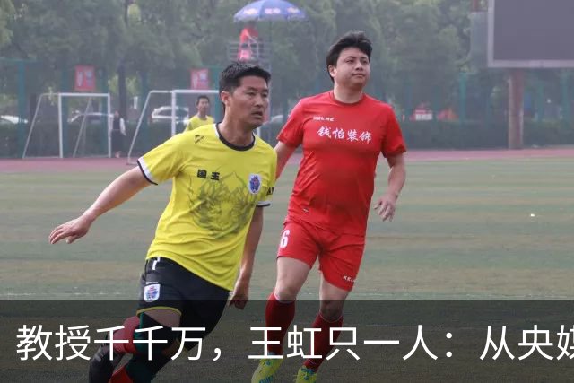 教授千千万，王虹只一人：从央媒称呼看实绩的分量多重要