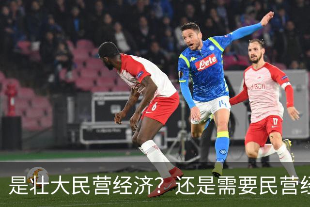 是壮大民营经济？还是需要民营经济？