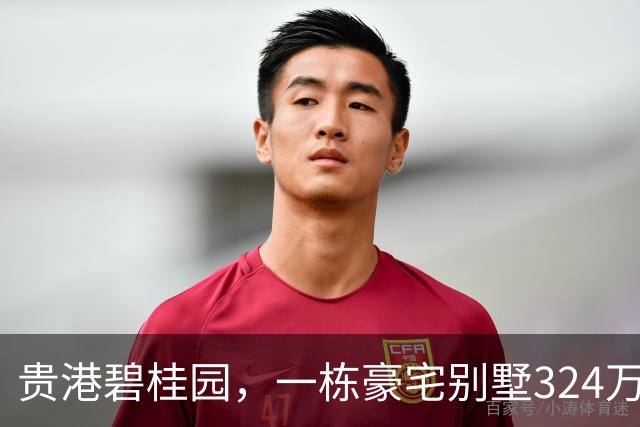 贵港碧桂园，一栋豪宅别墅324万起拍卖，2人报名竞拍却还是流拍了?