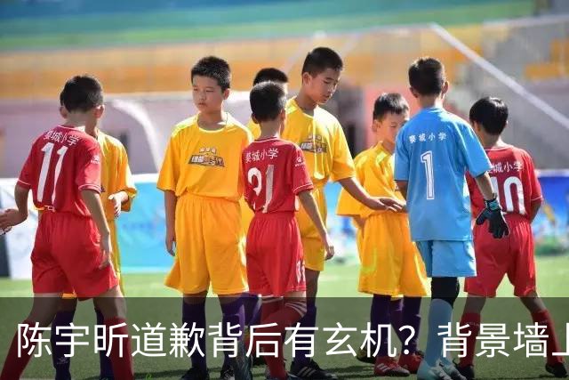 陈宇昕道歉背后有玄机？背景墙上的画，比旭日旗更让人后背发凉！