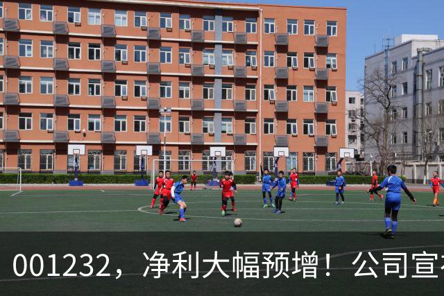 001232，净利大幅预增！公司宣布：筹划赴港上市！
