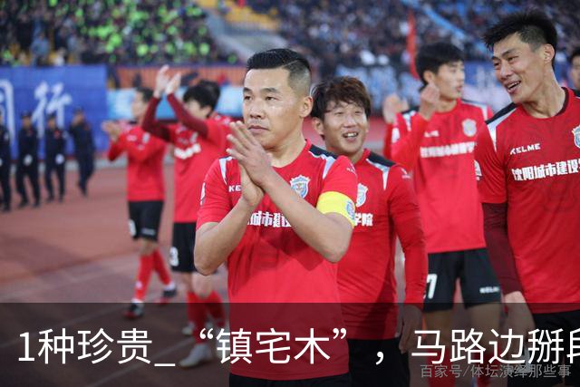1种珍贵 “镇宅木”，马路边掰段枝 “扦插”，养上2～3年做个造型