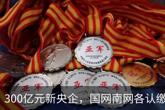 300亿元新央企，国网/南网各认缴37.5亿元